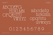 Marjolaine Type - A delicate Serif, a Serif Font by CarmineType (Thumbnail 5 of 24)