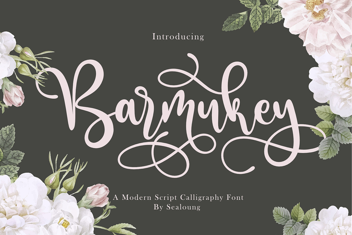 Barmukey, a Script Font by Sealoung (Photo 1 of 13)