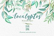 Eucalyptus Watercolor Greenery, a Healthcare Illustration by LABFcreations (Thumbnail 10 of 11)