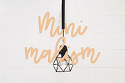 CATALINA MONOLINE, a Handwritten Font by supfonts (Thumbnail 4 of 6)