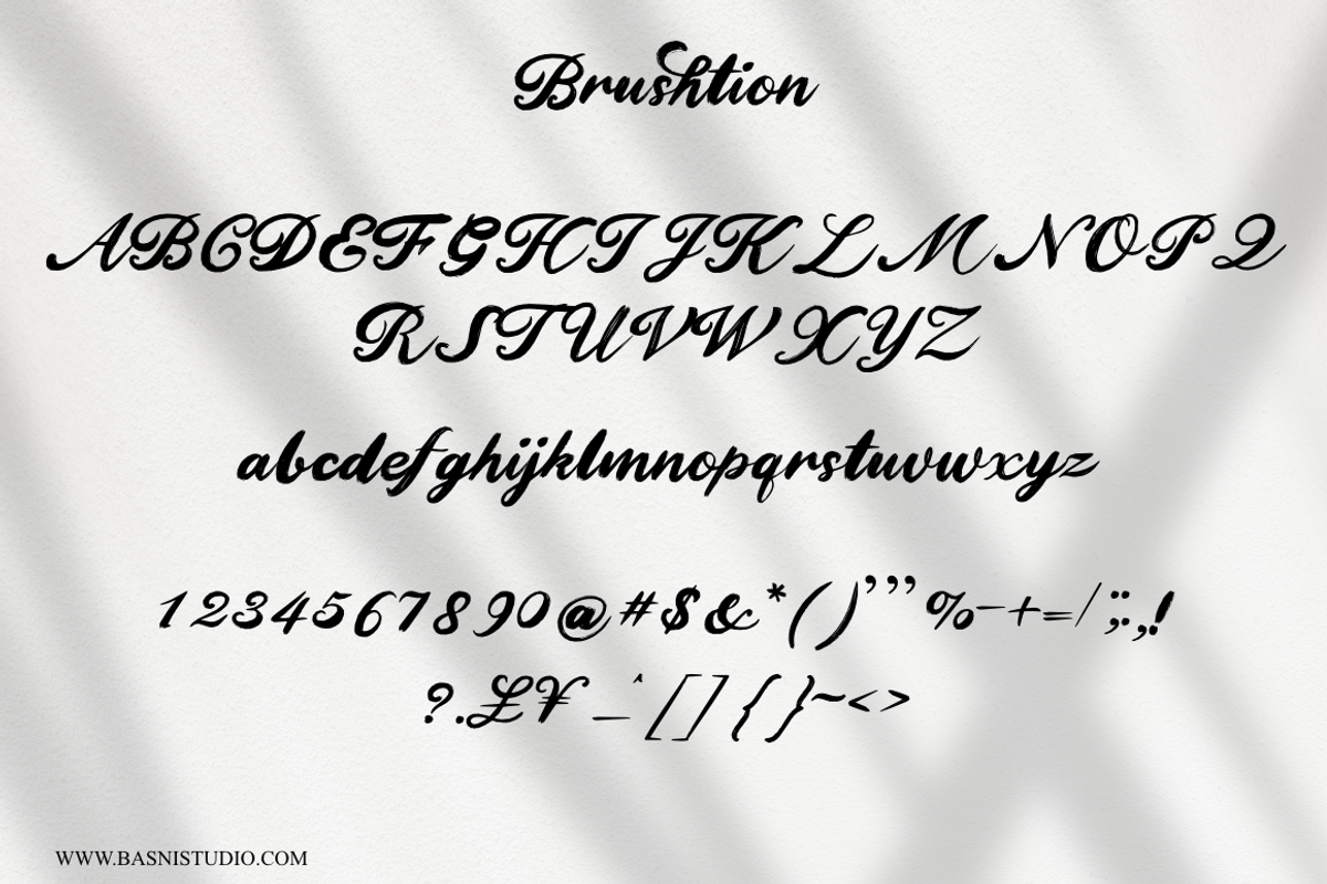 Brushtion | a Brush font, a Script Font by Basnistudio (Photo 7 of 7)