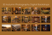 Autumn Photography Digital Backdrops, a Background Graphic by 3Motional (Thumbnail 10 of 19)