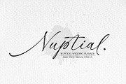 Maryland Brawlmer, a Script Font by Cititype (Thumbnail 7 of 12)