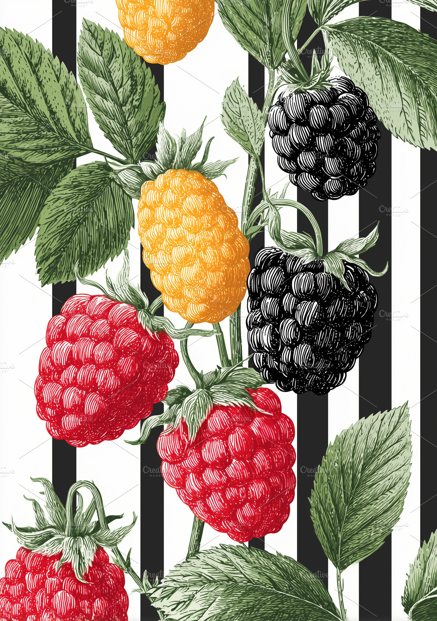 Vintage red, yellow, and black berry, a Food & Drink Photo by MistyDay