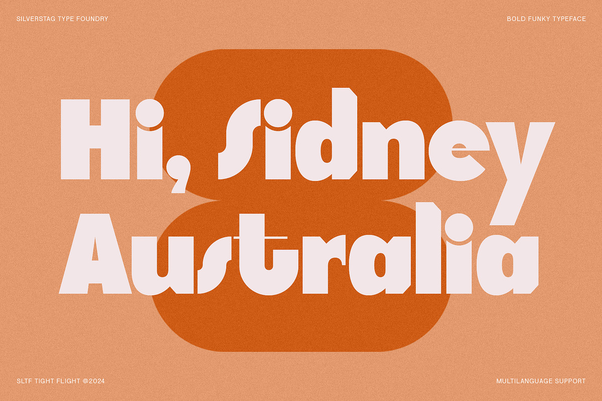 SLTF Tight Flight - Bold Funky Font, a Sans Serif Font by SilverStag Type Foundry (Photo 6 of 19)