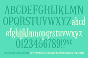 Screwby Extra Condensed Family, a Serif Font by Pink Broccoli (Thumbnail 3 of 3)