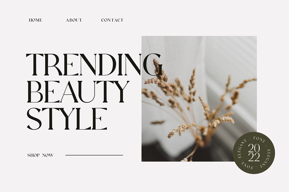 Extradicta Classic Serif Font, a Serif Font by UICreative (Photo 5 of 13)
