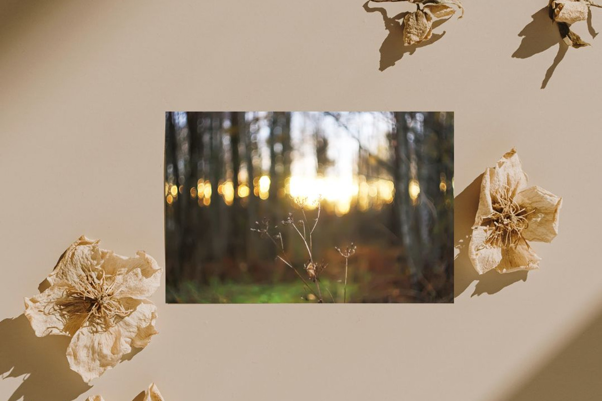 Autumn nature photography set, a Nature Photo by pictures for you (Photo 13 of 22)