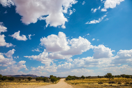 The road in the steppe