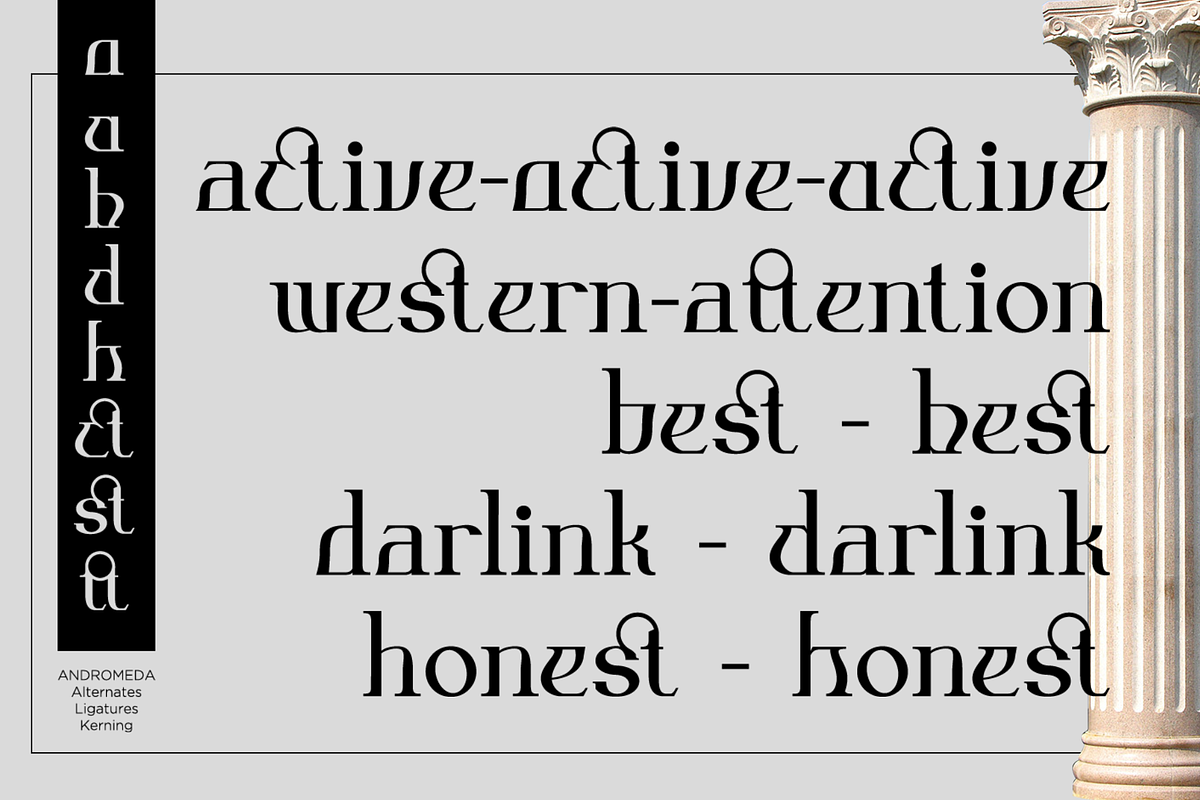 Andromeda Unique Display Typeface, a Serif Font by Absonstype (Photo 5 of 11)