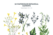 Botanical Watercolor Set, an Object Illustration by Manuka (Thumbnail 3 of 6)