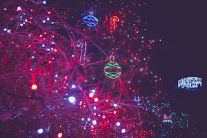 North Pole Lights