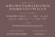 Rinella Modern Serif font, a Serif Font by RantautypeStudio (Thumbnail 12 of 13)