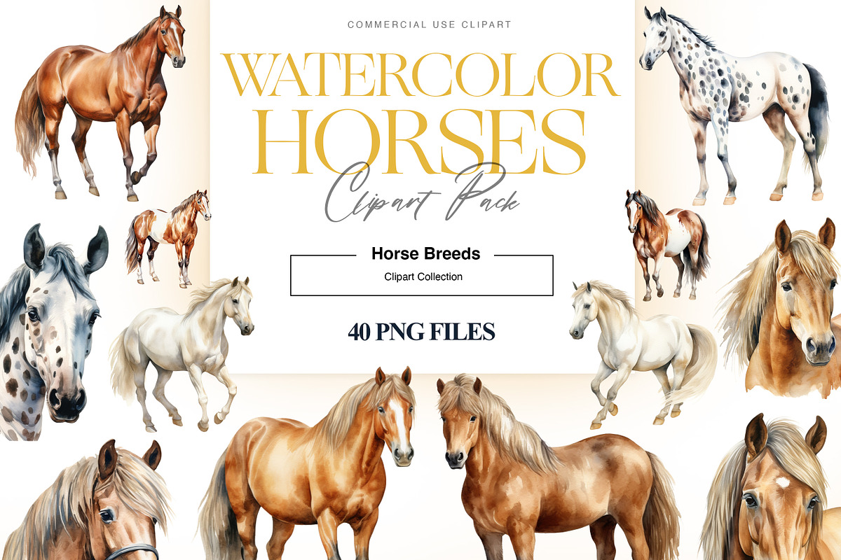 Horse Breeds Clipart, Appaloosa PNG, an Animal Illustration by BrushstrokeArtGB (Photo 1 of 9)