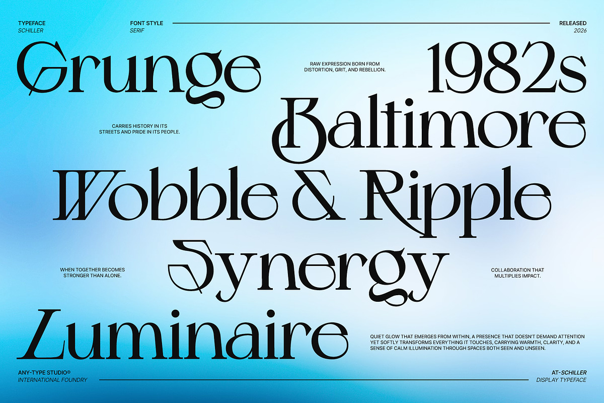 Schiller - Contemporary Serif, a Serif Font by Any-Type® Foundry (Photo 2 of 13)