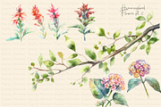 Watercolor Hummingbird and Flowers, an Animal Illustration by Dazzling Art Boutique (Thumbnail 5 of 8)