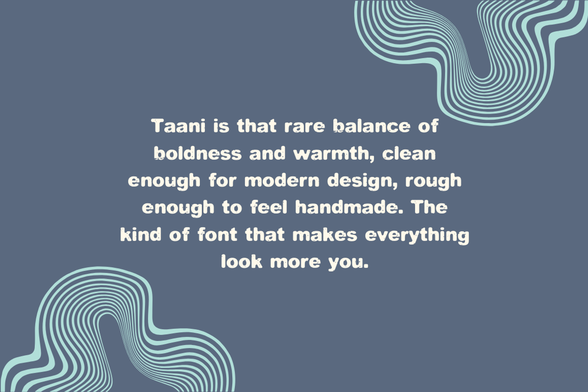 Taani Chunky Sans Serif Font, a Sans Serif Font by Cosy Fox (Photo 3 of 7)