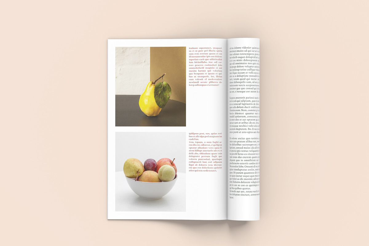 Seed - A4 Magazine Template, a Magazine Template by Tèrso. (Photo 8 of 10)