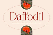 Nagista Modern Serif Font, a Serif Font by Letterena Studios (Thumbnail 3 of 15)