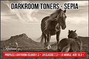 Darkroom Toners - Sepia Profiles, a Plug-in Add-On by Raztrend (Thumbnail 1 of 30)