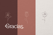 Sallenas Grandes|Elegant Serif Font, a Serif Font by Almeera Std (Thumbnail 8 of 9)