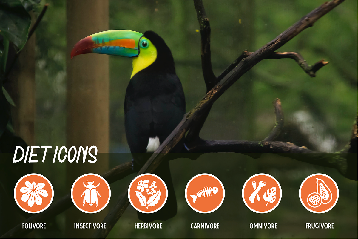Tropical Wildlife Icons, an Icon by Emma Jacquelyn Design (Photo 4 of 5)
