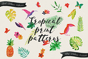 Jungle Tropical, an Animal Illustration by Isbela  (Thumbnail 3 of 6)
