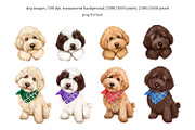 Clipart with dogs, labradoodles., an Animal Illustration by SavinV (Thumbnail 2 of 6)