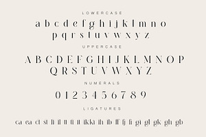 Diastema Modern Ligature Typeface