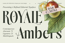 Royale Ambers Editorial Serif