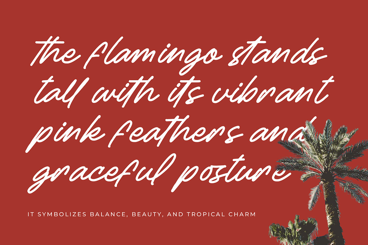 Betany Salena Monoline Brush Font, a Script Font by Letterena Studios Script (Photo 10 of 15)