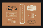 Endlants, a Serif Font by Drizy (Thumbnail 7 of 9)