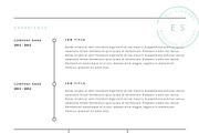3 Page Resume Template | INDD + DOCX, a Resume Template by BlackDotResumes (Thumbnail 6 of 6)