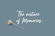 Rambow Script, a Script Font by moriztype (Thumbnail 6 of 8)