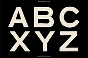 The Diverse Font Bundle, a Sans Serif Font by Bnick (Thumbnail 4 of 34)