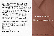 Piattacia font family, a Serif Font by greatypes studio (Thumbnail 6 of 15)