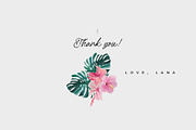 COSTA RICA — jungle animals, an Animal Illustration by Lana Elanor (Thumbnail 11 of 11)