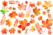Set of autumn leaves+patterns., a Decorative Illustration by Della_Liner (Thumbnail 2 of 8)