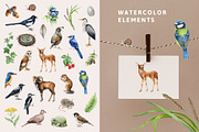 Forest Alphabet Watercolor Clipart, an Education Illustration by AnitaPol (Thumbnail 5 of 12)