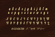 Lavonte Vintage Script Font, a Script Font by Graphicxell (Thumbnail 6 of 8)