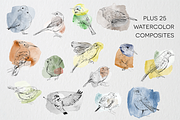 Birds of Africa Illustrations, a Decorative Illustration by CL Creative Studio (Thumbnail 6 of 14)