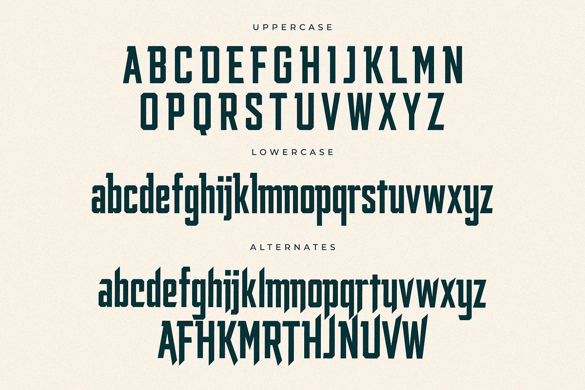 Smith Buck Modern Sans Serif, a Sans Serif Font by Storytype Studio (Photo 12 of 15)