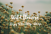 Wild Flowers II, a Templates & Theme by ApertureVintage (Thumbnail 6 of 14)