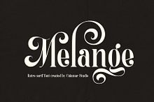 Melange | Retro Serif Font
