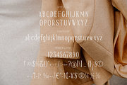 Mendalion A New Modern Serif Font, a Serif Font by Storytype Studio (Thumbnail 13 of 15)