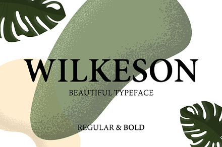Wilkeson Modern Serif Typeface