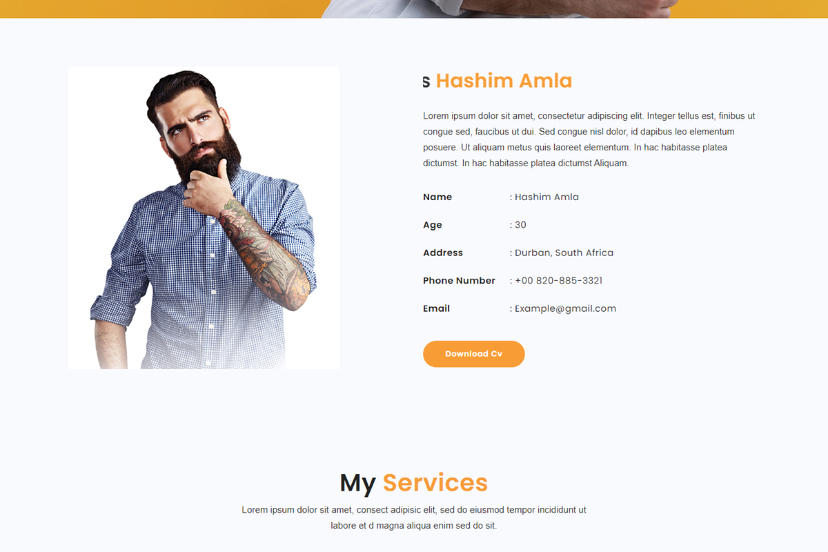 Developer Portfolio HTML Template, a Bootstrap Template by Themeplaza (Photo 3 of 7)