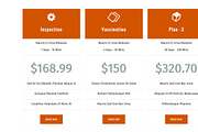 Pet Veterinary, a Bootstrap Template by VALIASOLUTION SHOP (Thumbnail 5 of 7)