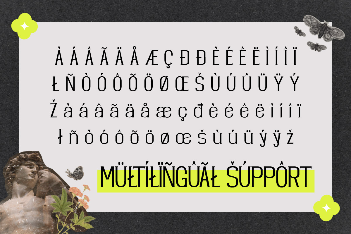 Coxeus - Serif Display Font, a Serif Font by trabaskriya (Photo 8 of 8)