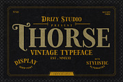 Thorse, a Font by Drizy (Thumbnail 1 of 9)